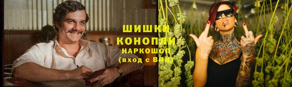 jwh Богородицк