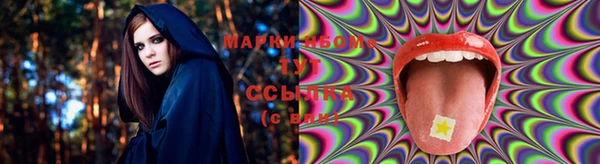 jwh Богородицк