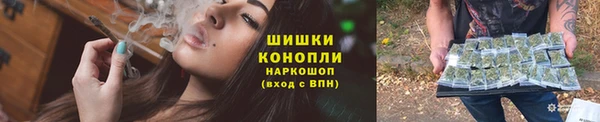 дмт Богданович