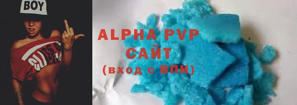 дмт Богданович