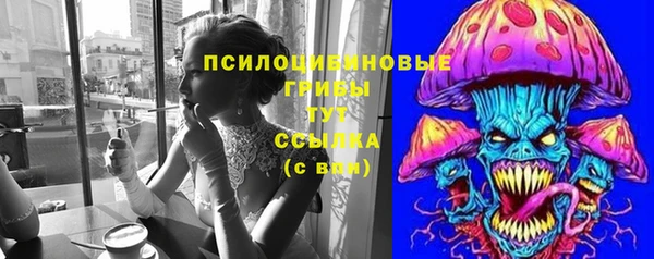 jwh Богородицк