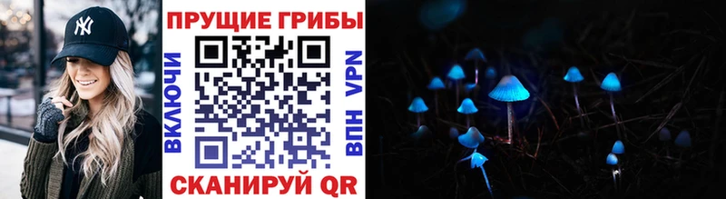 сайты даркнета как зайти  Козьмодемьянск  Галлюциногенные грибы Cubensis 