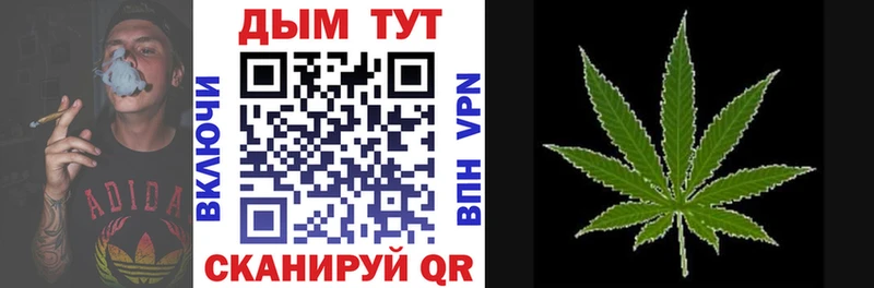 Бошки марихуана индика  Козьмодемьянск 